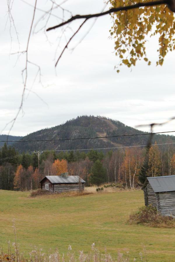 Backens Fjaellboende Tännäs 外观 照片